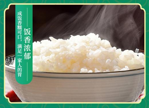 【CWLY】中粮皇家粮仓金花芭曼颂柬韵香米5kg 商品图5