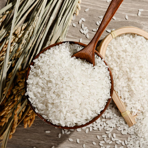 太粮（鲜）米5kg 商品图4