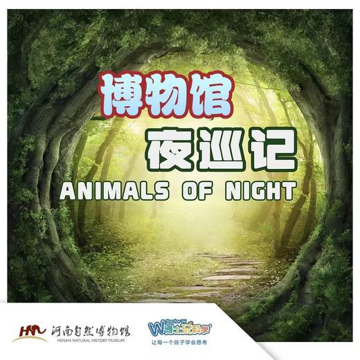 【河南自博-研学】自然探索行-夜间精灵寻访记 商品图0