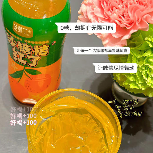 严选 | 哈曼丁气泡茶 6瓶/箱 茶香浓郁 茶味纯正 气泡激爽 商品图1