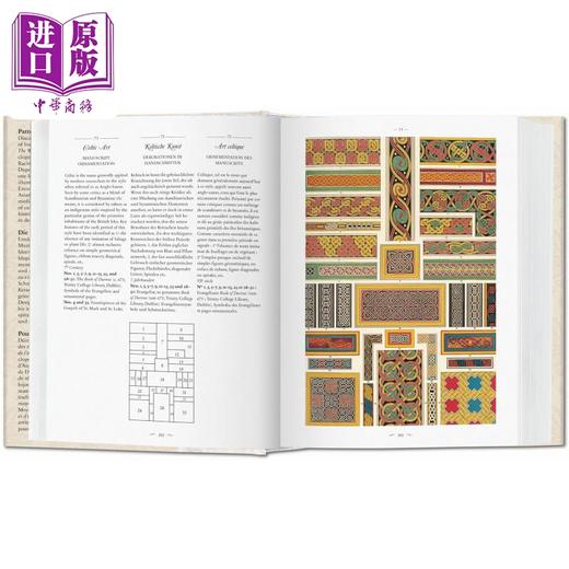 【中商原版】装饰世界 英文原版 The World of Ornament 商品图4