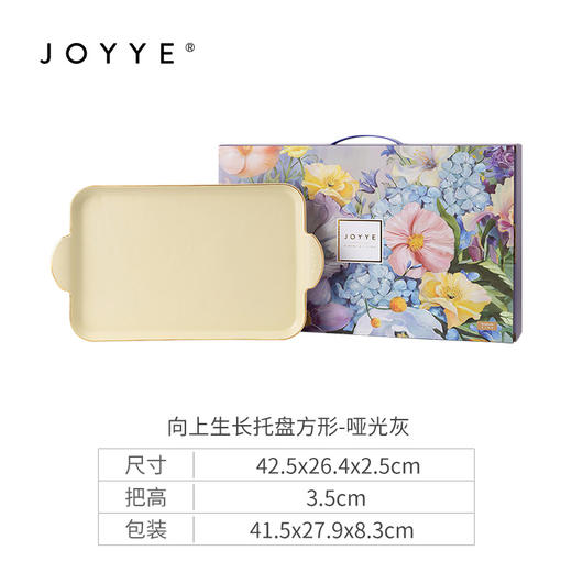 JOYYE向上生长-新骨瓷浮雕长方形陶瓷水果托盘圆形下午茶具茶盘餐盘收纳盘 商品图3