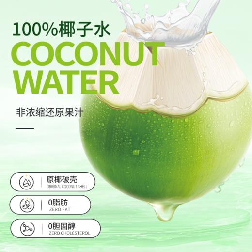 椰谷 NFC100%椰子水1L*6盒 商品图3