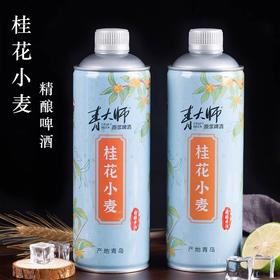 食品酒水-青大师原浆啤酒精酿啤酒果味整箱