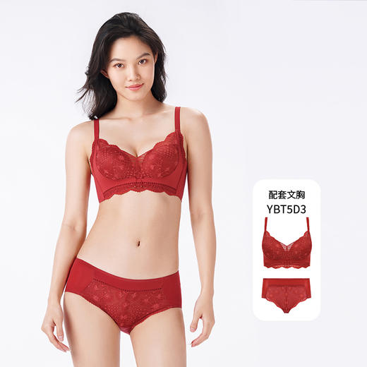 都市丽人内裤薄透丝滑三角裤蕾丝+泳布女士内裤YPT5D3 商品图4