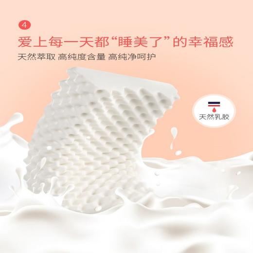 钱皇·狼牙乳胶枕（两只） | 透气不闷热 人体工学设计 贴合颈部 柔软弹睡感 商品图1