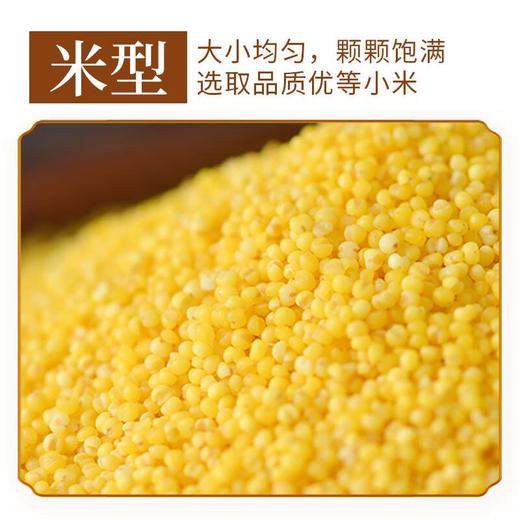 五谷土有机黄小米700g/罐 商品图3