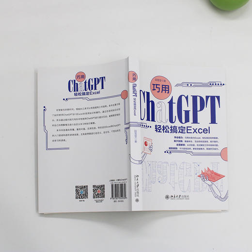 巧用ChatGPT轻松搞定Excel 段雪莹 著 北京大学出版社 商品图4