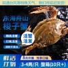 舟山梭子蟹 3-4两/只 4斤 商品缩略图0