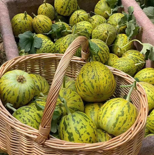 八里香甜瓜，隔着8里都能闻到香气，纯甜，约2.8斤/份， 商品图2