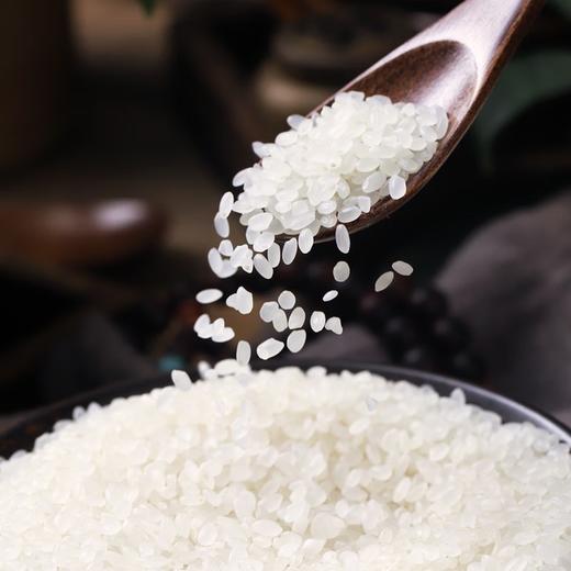 【CWLY】乔府大院米晶元小町5kg 商品图1