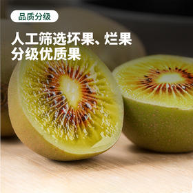 每一口果肉都是天然VC | 蒲江红心猕猴桃  新鲜水果 家庭装/礼盒装 中果/大果/特大果 多规格入  [注意催熟后食用嚄]