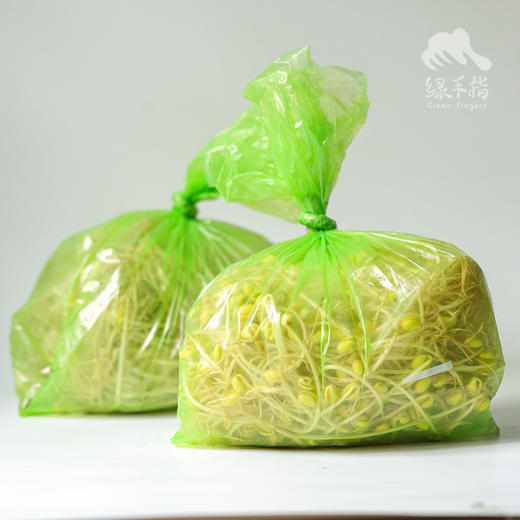 生态豆芽份额 | 绿家自产* share of ecological mung bean sprouts | In-House Production 商品图3