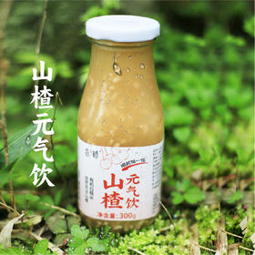 山楂元气饮300g*2瓶【产地直发】@谦益