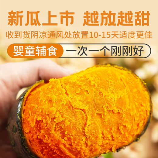 【山东新鲜栗味贝贝南瓜】贝贝南瓜5斤粉糯板栗口感，越放越甜越好吃，小南瓜栗面婴儿辅食首选孕妇粉糯香甜好吃不腻QQ 商品图2