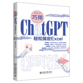 巧用ChatGPT轻松搞定Excel 段雪莹 著 北京大学出版社