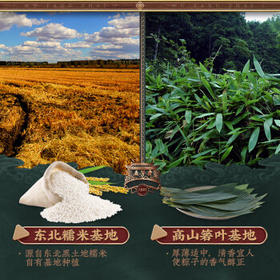 五芳斋粽子 五芳大肉粽280克 140g*2只袋装 中华老字号嘉兴粽特产