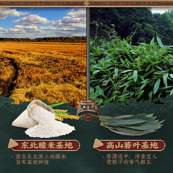 五芳斋粽子 五芳大肉粽280克 140g*2只袋装 中华老字号嘉兴粽特产 商品图0