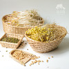 生态豆芽份额 | 绿家自产* share of ecological mung bean sprouts | In-House Production 商品缩略图0
