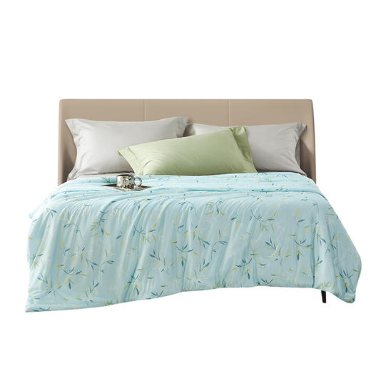 卓凡尼·华伦天奴 悦色针织凉感被GV8176BZ 商品图1