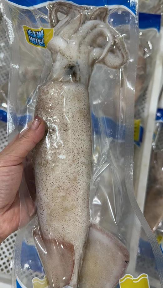 大连当地鱿鱼200-300g/条，船冻原浆鱿鱼，比陆冻的新鲜度还要高，焯水时会闻到特别鲜流大海的味道，焯水后鱿鱼肉会比生的时候还要厚一些，口感Ｑ弹，东三省包邮（省外需联系客服补运费） 商品图1
