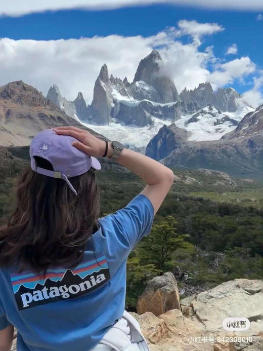 Patagonia巴塔哥尼亚经典短袖logo P-6环保主题♻️系列Organic T-Shirt 男女同款logo印花短袖Tee 商品图7