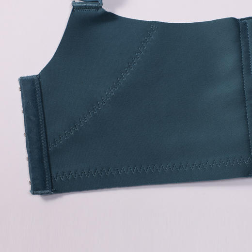 都市丽人调整型内衣舒软挺塑塑身文胸蕾丝AB:加加厚C:薄塑身内衣5/8杯五排扣LJTAH1 商品图7