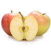 现摘当季陕西嘎啦苹果新鲜正宗高山水果脆甜多汁整箱5斤装 商品缩略图3