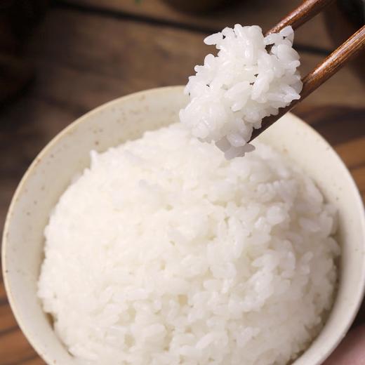 【CWLY】乔府大院米晶元小町5kg 商品图2