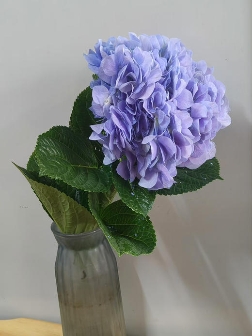 绣球，二支 商品图2