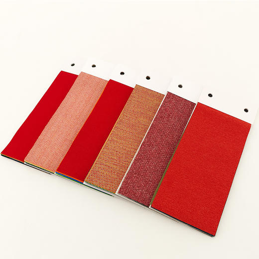 爱仕沃玛（axroma）库存色卡 商品图1