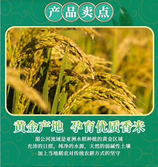 【CWLY】中粮皇家粮仓金花芭曼颂柬韵香米5kg 商品图1