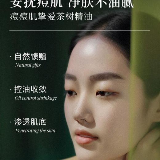 茶树精油/瓶 商品图1