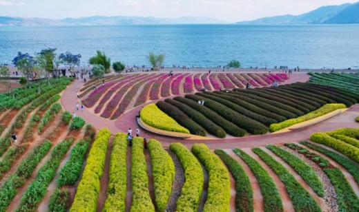 【一日游】抚仙湖自然与文化之旅 商品图4