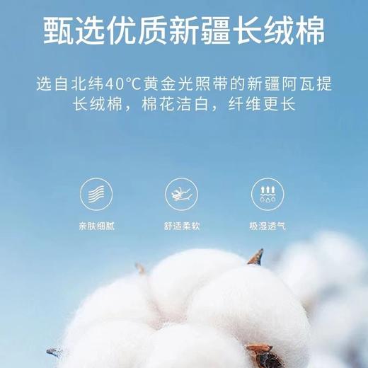 SIFUNING思芙宁2024新款气质修身长袖打底衫T恤时尚百搭A6158/A6191 商品图3