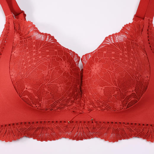 都市丽人内衣聚拢升杯常规文胸蕾丝中厚文胸3/4杯三排扣无钢圈YBT5D3 商品图5