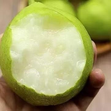 【云南早酥梨】清脆多汁 肉质酥脆 酸甜多汁 果形饱满 表面光滑 口感细腻 口感丰富 2种规格任选 商品图1