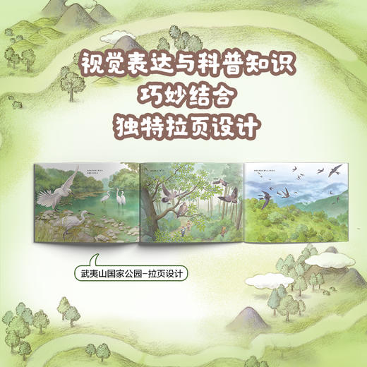 【全6册】中国国家公园 武夷山/东北虎豹/海南热带雨林自然科普 商品图4