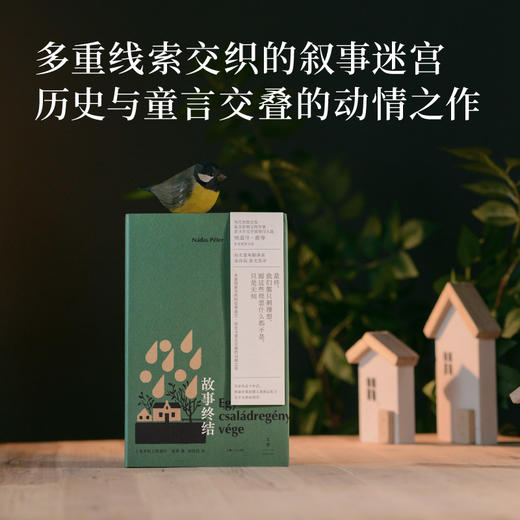 故事终结 纳道什·彼得著作 多重线索交织的叙事迷宫 历史与童言交叠的动情之作 外国文学作品 世纪文景 商品图1