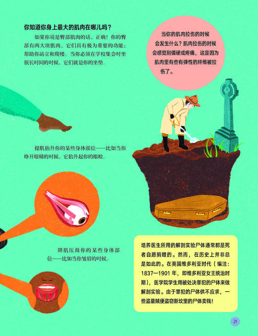 《人体简史：少儿彩绘版》 商品图10