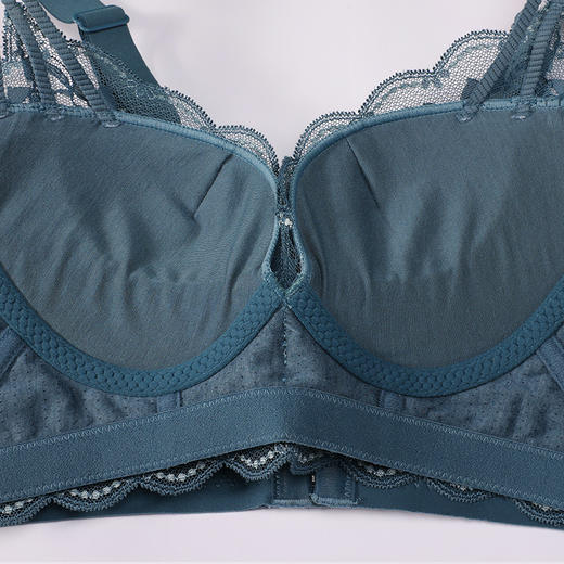 都市丽人调整型内衣舒软挺塑塑身文胸蕾丝AB:加加厚C:薄塑身内衣5/8杯五排扣LJTAH1 商品图9