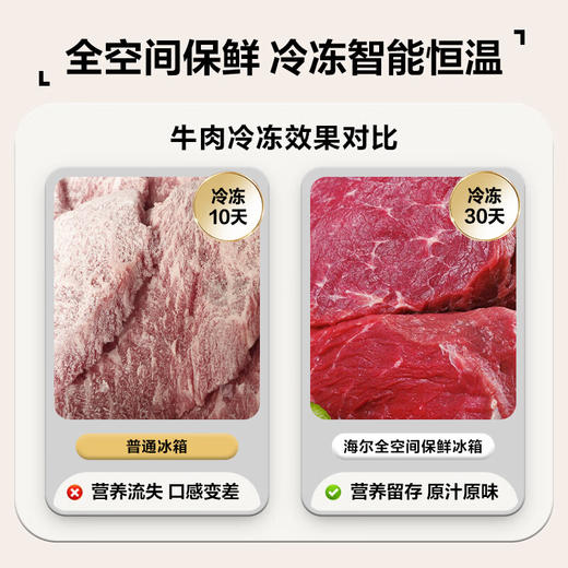 海尔（Haier）502升全空间保鲜594mm专业超薄零嵌入式双除菌侧T对开双开门家用电冰箱无霜BCD-502WGHFT1BS9U1 商品图3