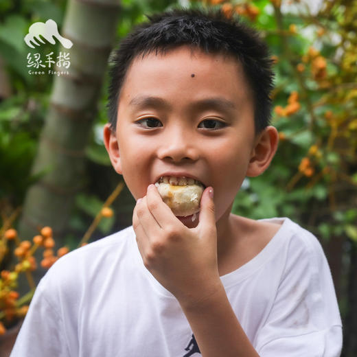 生态手工冰皮月饼（广东省内今天最后一天截单，广东省外停止接单） | 合作生产*Handmade snow skin Eco-mooncake | Partner Production 商品图1