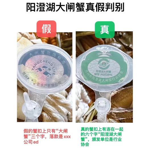 【原产地直发 满黄满膏 一蟹一扣】正宗阳澄湖大闸蟹 卡券 商品图12