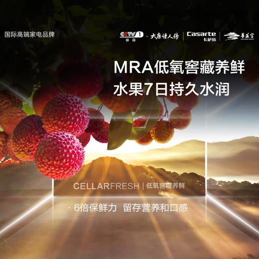 卡萨帝（Casarte）645升原石系列十字四开门冰箱一级能效变频无霜家用三系统超大容量BCD-645WGCTDM7Y9U1 商品图2