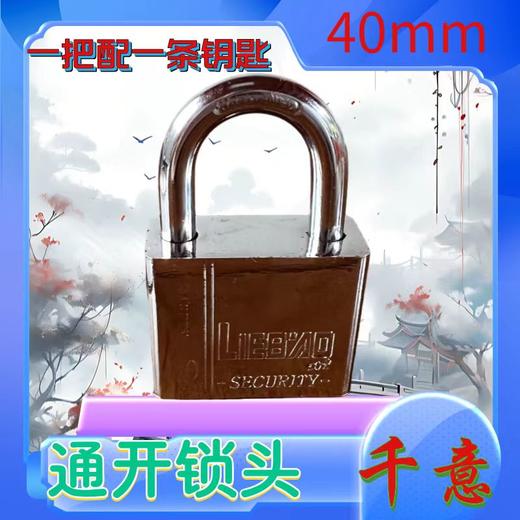 40短钩【通开锁头】10把起拍 商品图0