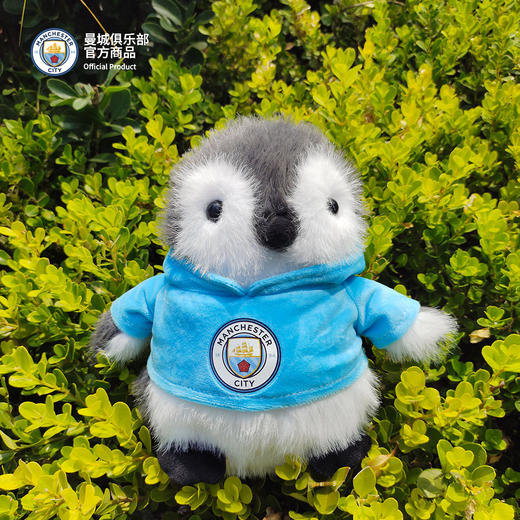 【官方正版】曼城俱乐部 | 企鹅玩偶球迷毛绒队徽印号可爱周边礼物 商品图2