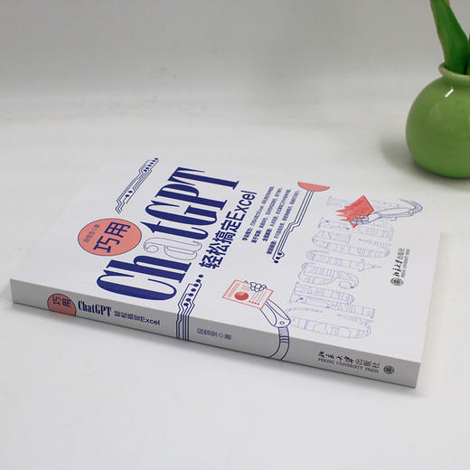 巧用ChatGPT轻松搞定Excel 段雪莹 著 北京大学出版社 商品图2