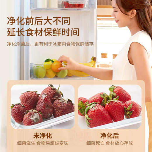 EraClean  便携式果蔬清洗机GFC01 商品图3