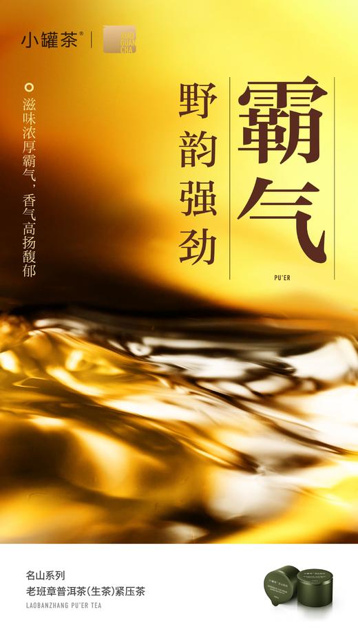 小罐茶 名山系列·老班章普洱茶（生茶）紧压茶12罐装 商品图11